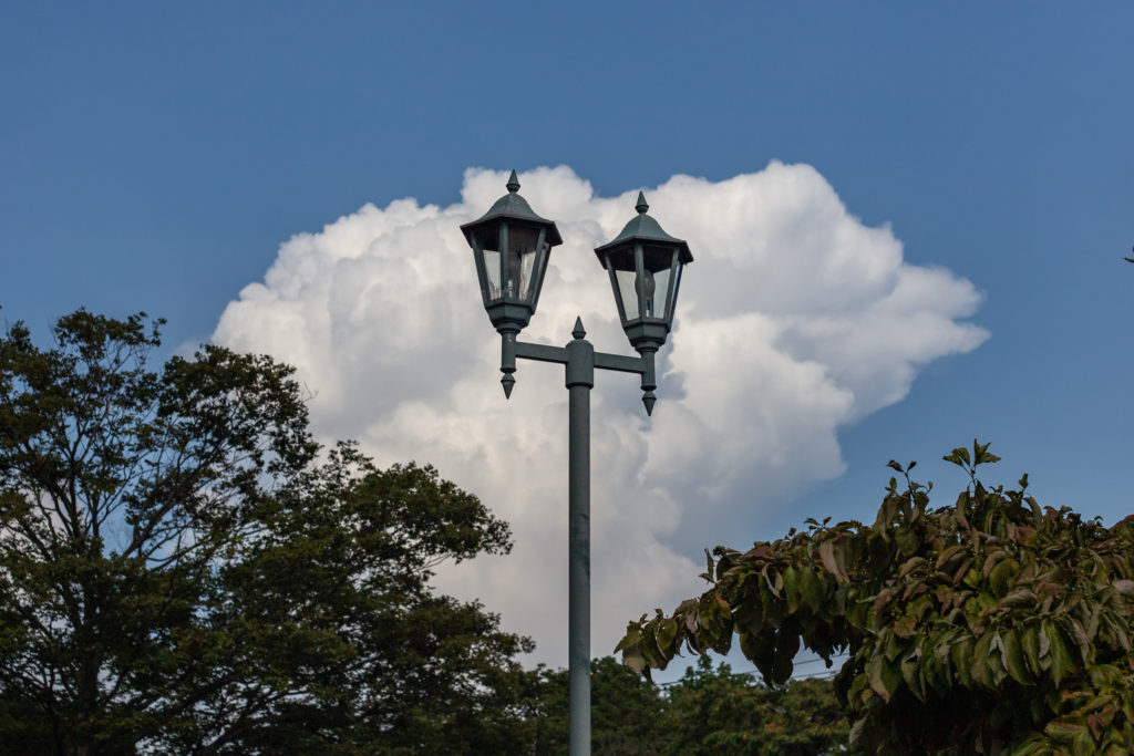 公園の街灯 パークライフヨコハマ